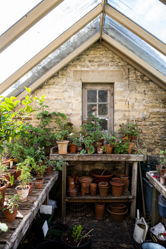 Cotswolds Summer Garden Day with by Matilda and 100 Acres
