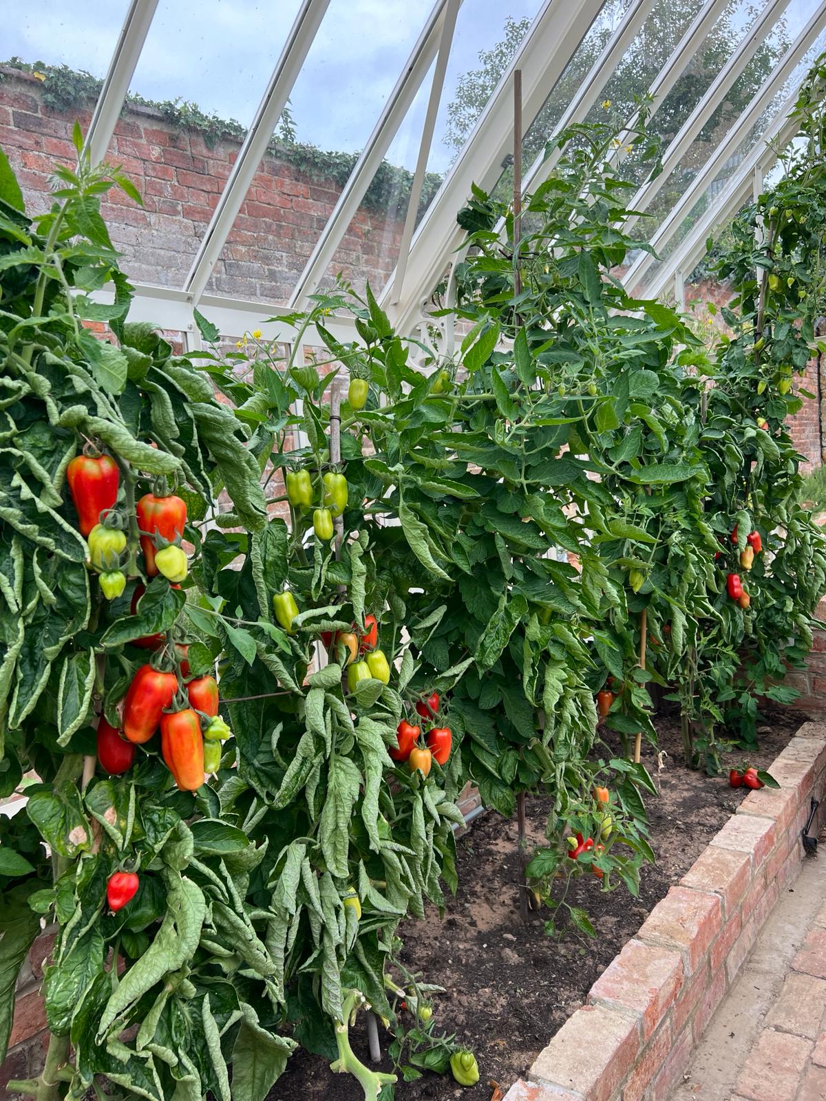 How Parents Can Help Their Kids Shine with Lucinda Miller, NatureDoc