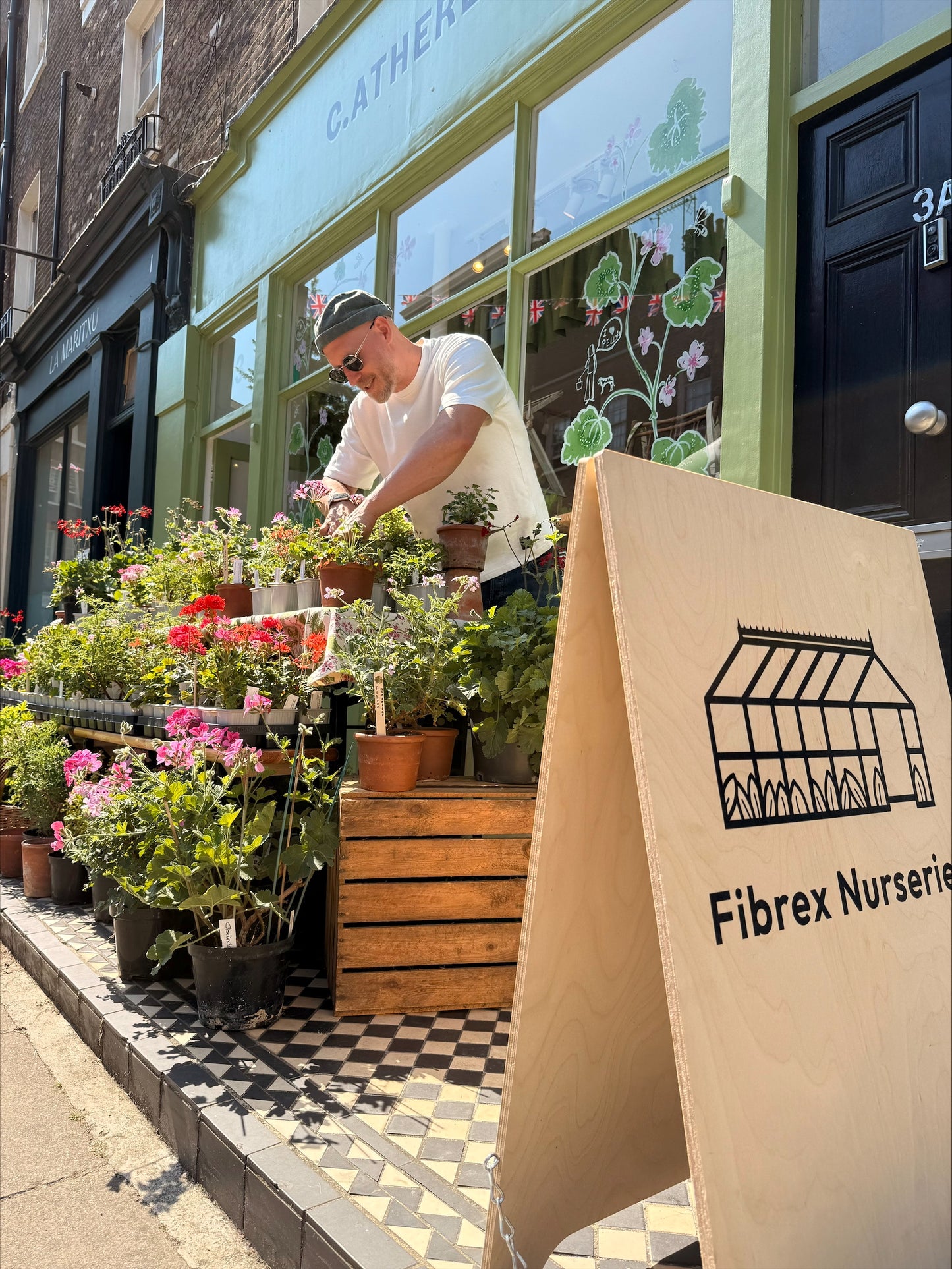 A Day of Pelargoniums with Fibrex Nurseries 🌿
